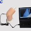 Arthroscopic Knee Simuator Model Sets