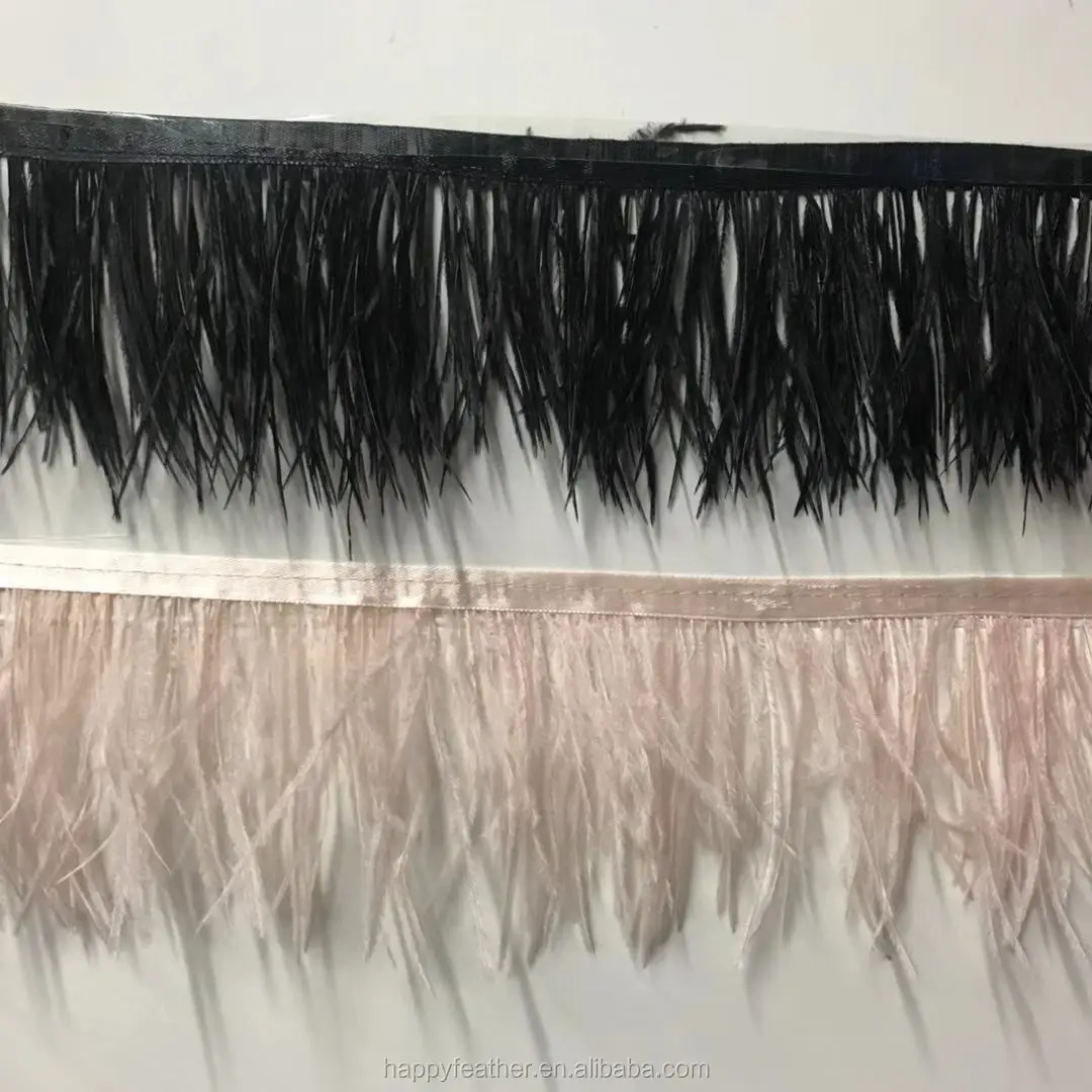 stores that sell ostrich feathers