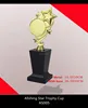 Wholesale Tophies Medals China /o scar star trophy award plate for souvenir