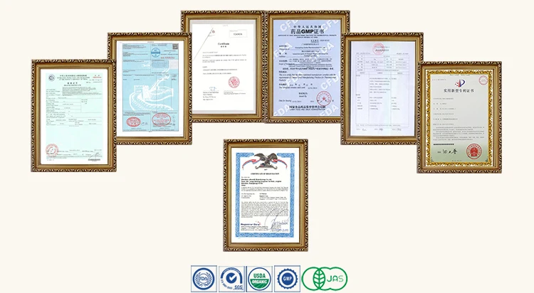 certificate-.jpg