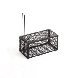 supermarket hand basket