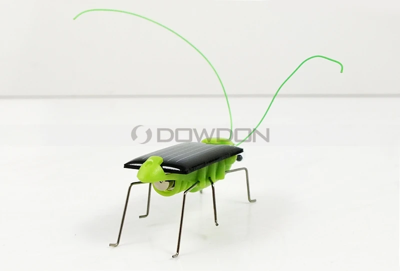 sloar grasshopper 8015 131216 (23).JPG