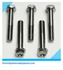 Hot Sale Quality Titanium m8 flange bolt TC4