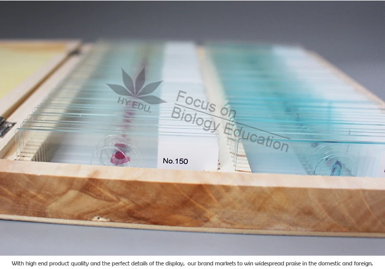 Fixed Set Educational Supplies Biology Teaching Resourses Various Of