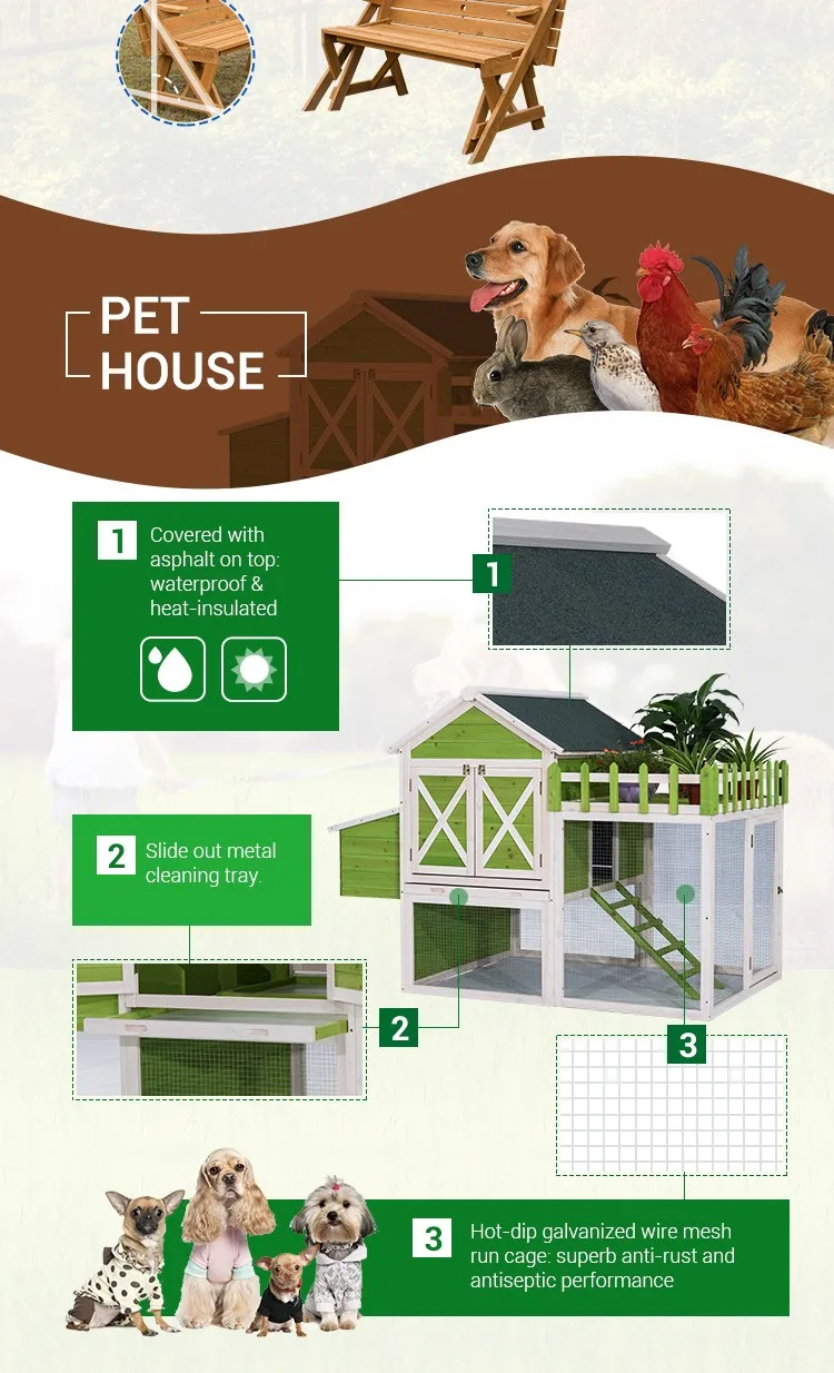 Sederhana Desain Disesuaikan Menggambar Desain Ayam 