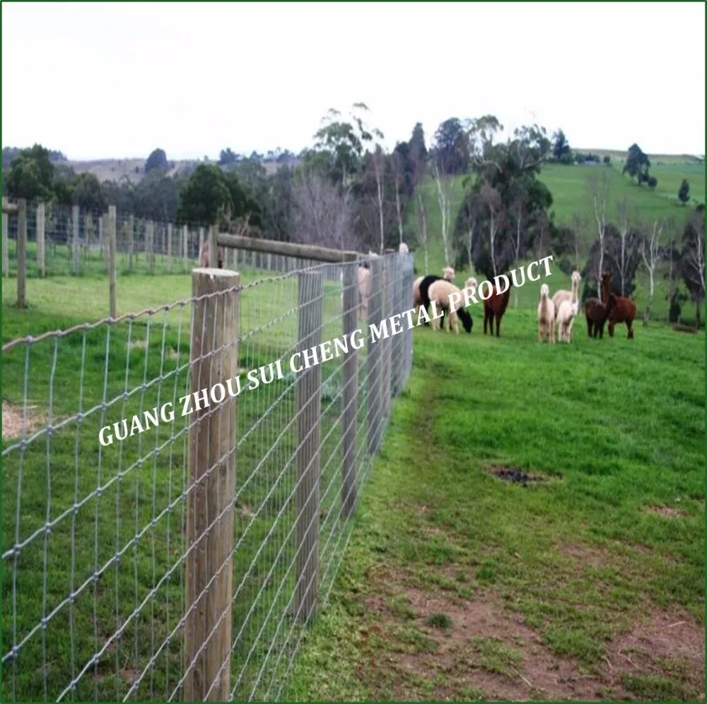 electric sheep fencing