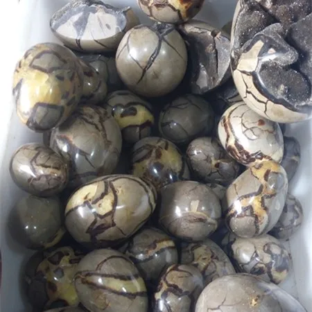 الطبيعية Septarian الجيود البيض Septarian التنين البيضاوي للبيع Buy Septarian البيضاوي البيض شكل بيضاوي الحجر للزينة البيضاوي البيض كرسي Product On Alibaba Com