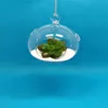 wholesale glass hanging balls with 2 small holes for flowers