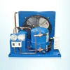 Hot Sale AC Power Easy To Maintain Small Condensing Unit