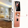 CUSTOMIZED KEYLESS BIOMETRIC MAGNETIC DOOR LOCK FACIAL RECOGNITION SMART DOOR LOCK INTELLIGENT LOCK FACE