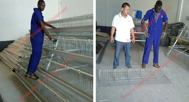 Automatic chicken cages hot galvanized poultry cage cheap price egg layers cage design for farm design