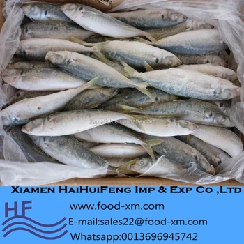 Musim Baru Ikan Beku Makarel Kuda Ikan - Buy Makarel Kuda 