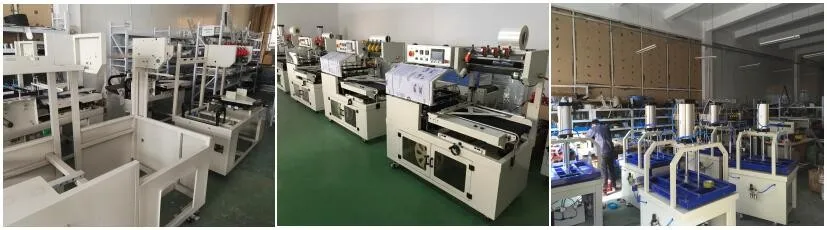 side sealer machinery