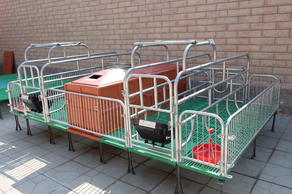 Double Pig Farrowing Crate Of Guaranteed Quality Buy Pig Farrowing Crate,Double Pig Farrowing