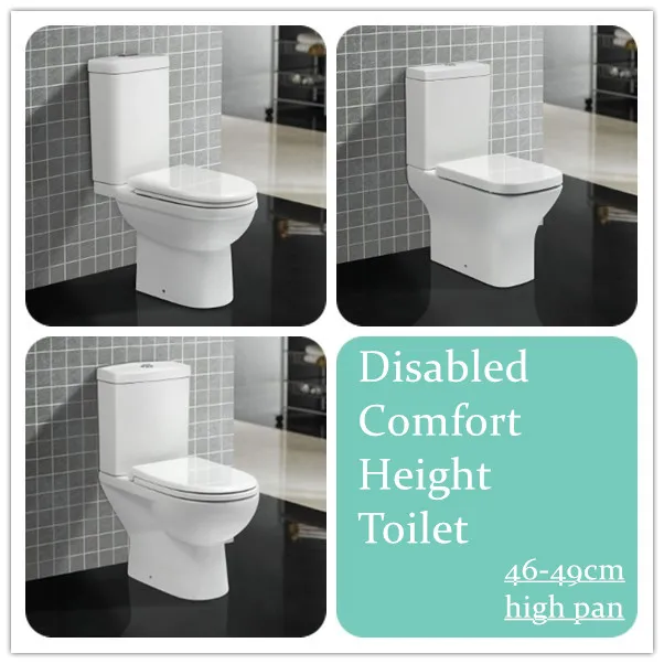 Hospital And Public And Project Disabled Toilets Comfort Height