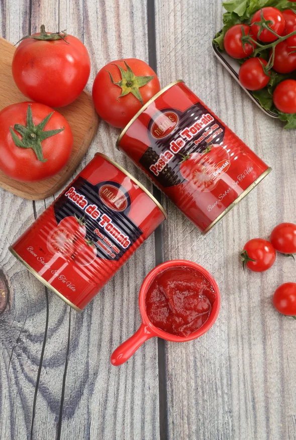 400 克罐装番茄酱酱番茄酱 - buy canned tomato ketchup paste