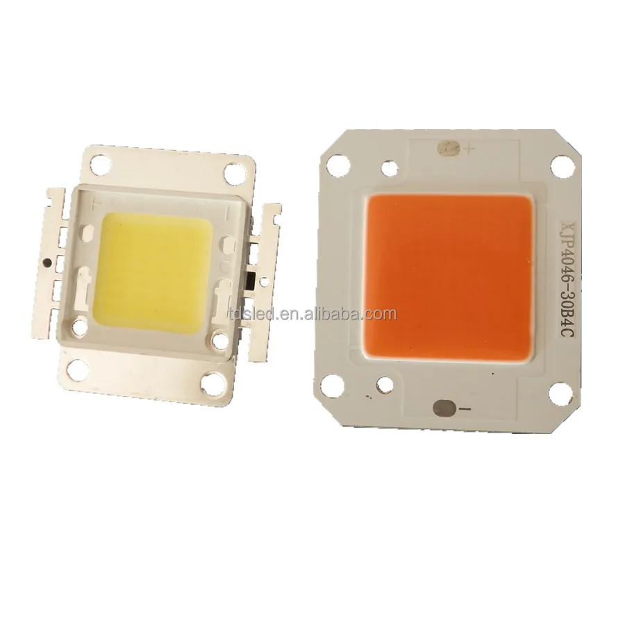 12V 60W Fishing Led chip for bowfishing / flounder light in White / warm white / Green color