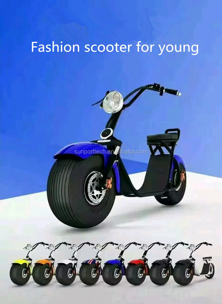 citycoco scooter_9.jpg