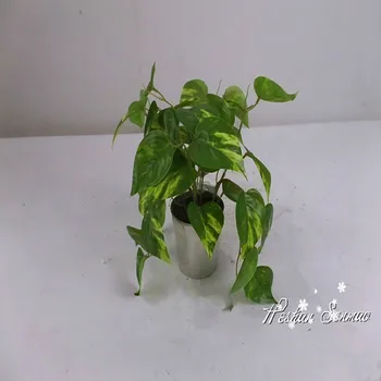 All Types Of Plants Artificial Potted Simulation Mini Bonsai All Types Of Plants Artificial Potted Simulation Mini Bonsai For Table And Home Ornament