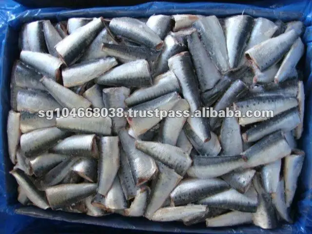 sardine hgt morocco yulyfish (2).jpg