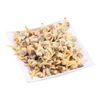 Frozen clams without shell Frozen short neck clam meat