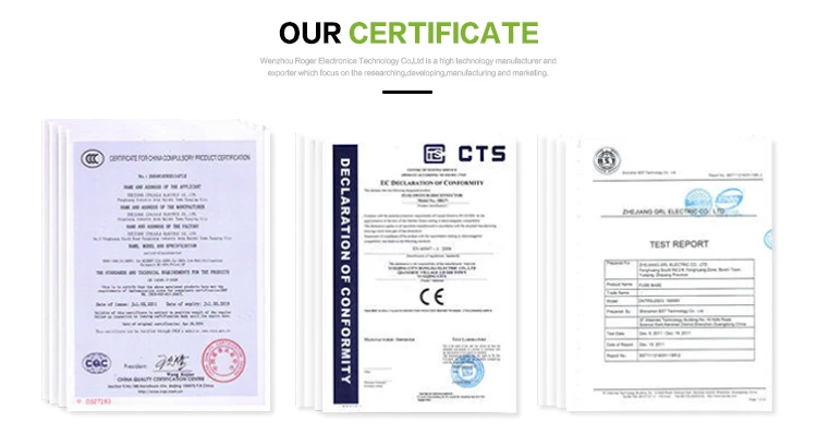 Dc To Ac 12v 24v 300 Watt 110V Inverter Pure Sine Wave 300w Micro Inverter