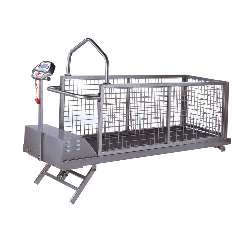 Pet Treadmill Cheap Dog Treadmill Buy Dog Treadmill,Cheap Dog