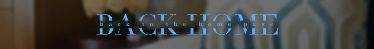 the ritz-carlton hotel furniture