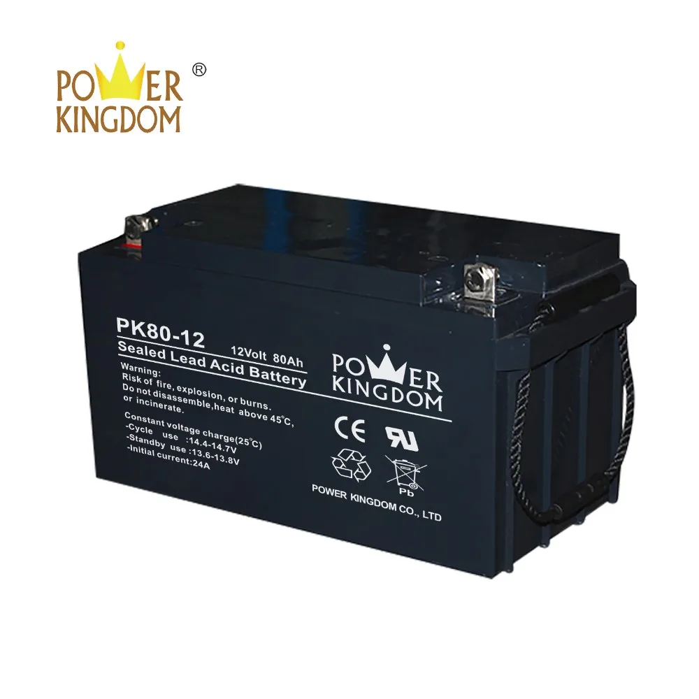 Power Kingdom mechanical operation wet lead acid battery factory price solar and wind power system-2
