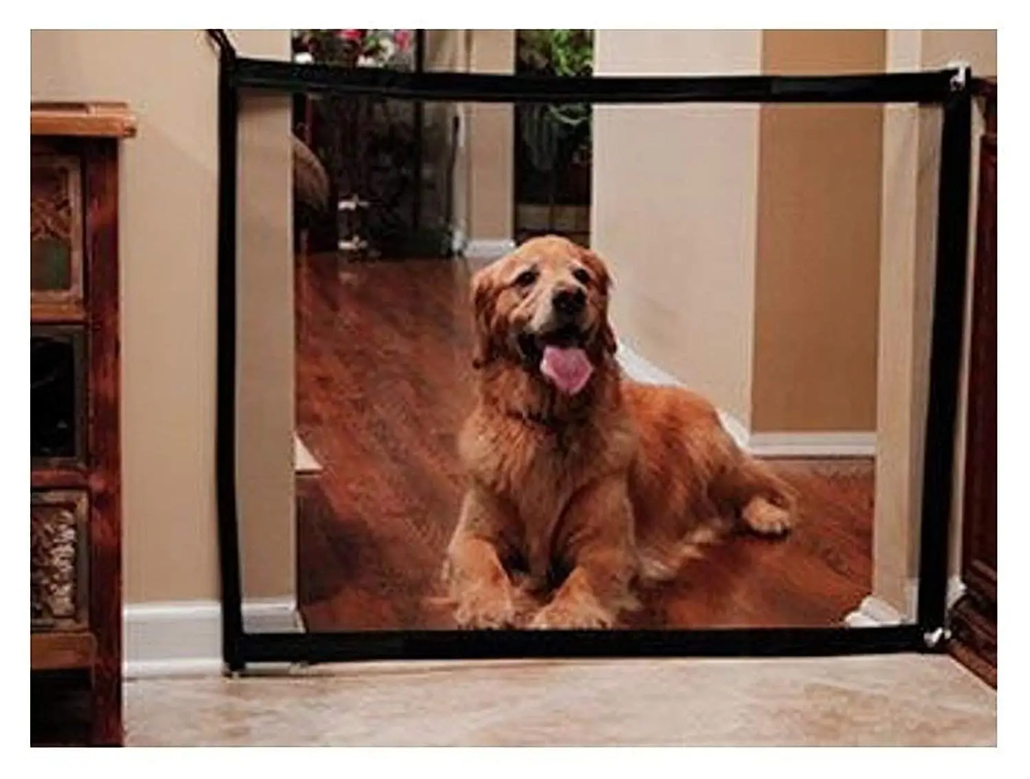 retractable driveway gate for dogs