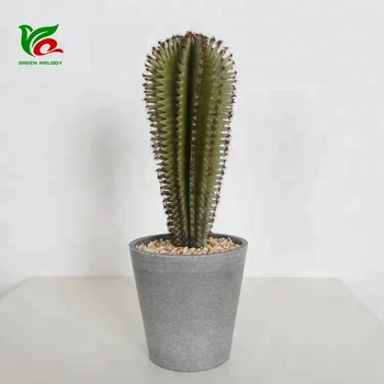 Desert Design 35cm Artificial Mini Cactus Set Christmas Indoor