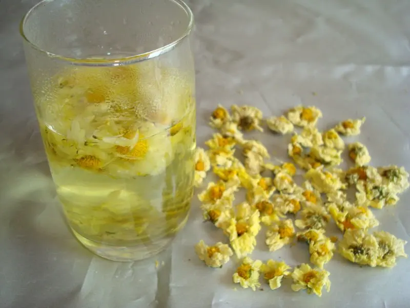 Fresh Chrysanthemum Tea Buy Honey Chrysanthemum Tea,Hangzhou White