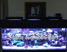 diy led reef tank