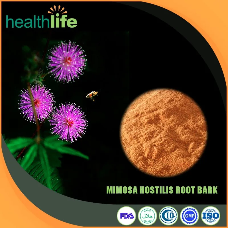 Mimosa Pudica Root Extract Powder 101 Buy Hight Quality Mimosa