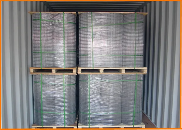 welded iron wire mesh 50x50