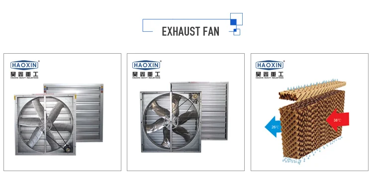 Hot selling exhaust fan with low price