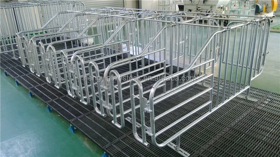 Pig gestation pen in piggery/sow gestation crate stall, View automatic