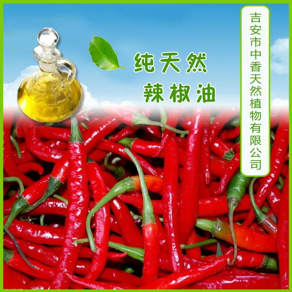 hot chilli oil