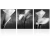 Black and White Flower Picture Wall Art Printing HD Artistic Photo Canvas Prints Ready to Hang Room Decoration
