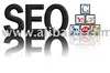 SEO Consultation and Evaluation