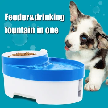 electric pet fountain