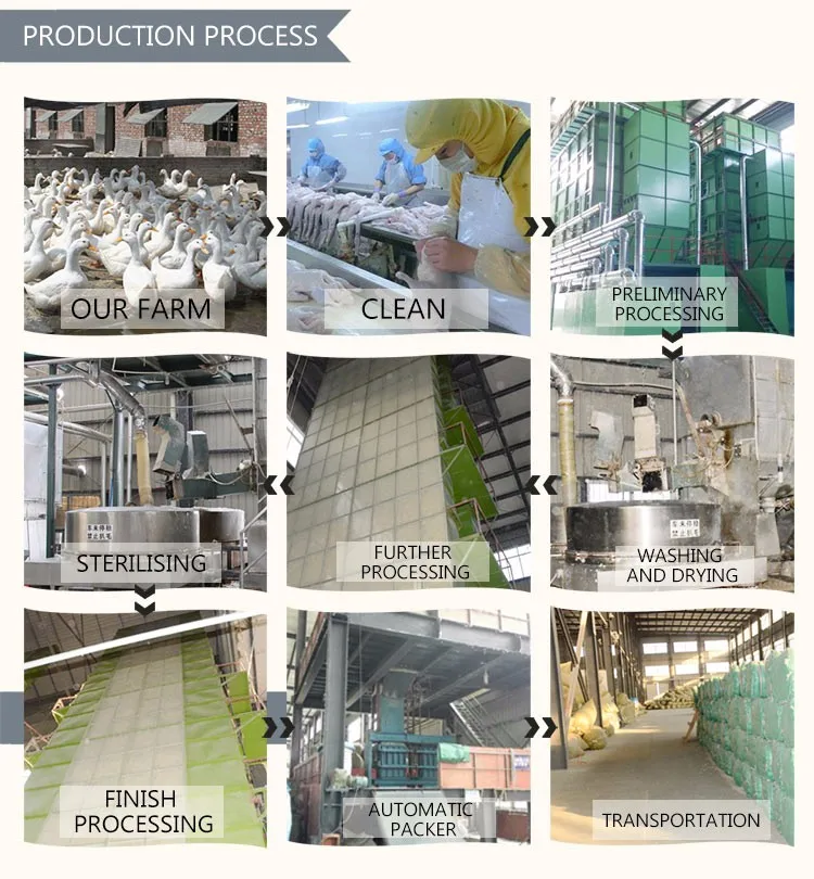 Wholesale Mallard Duck Down Feathers For Sale Buy Duck Feather For