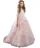 princess little girls dresses pink butterfly dresses for girls ball gown kids party dress latest flower girls dresses