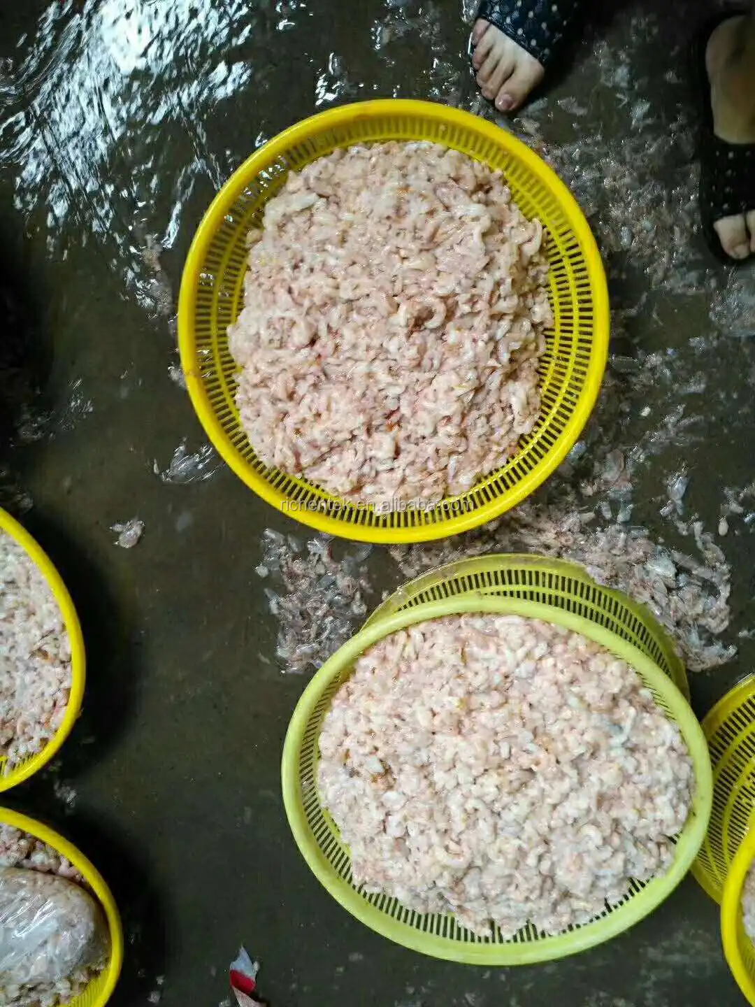 Automatic Shrimp Cleaner Grader Machine/prawn Washing Grading Machine/fresh Shrimp Size Roller Sorting Machine For 6 Grades