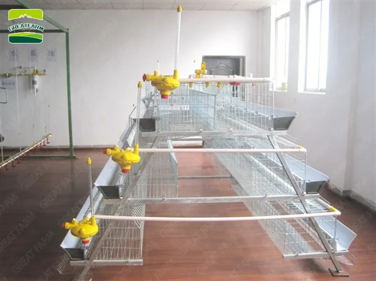 Hot sale machine automatic poultry layer cages systems
