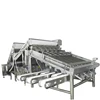 continuous shrimp grader shrimp processing machine