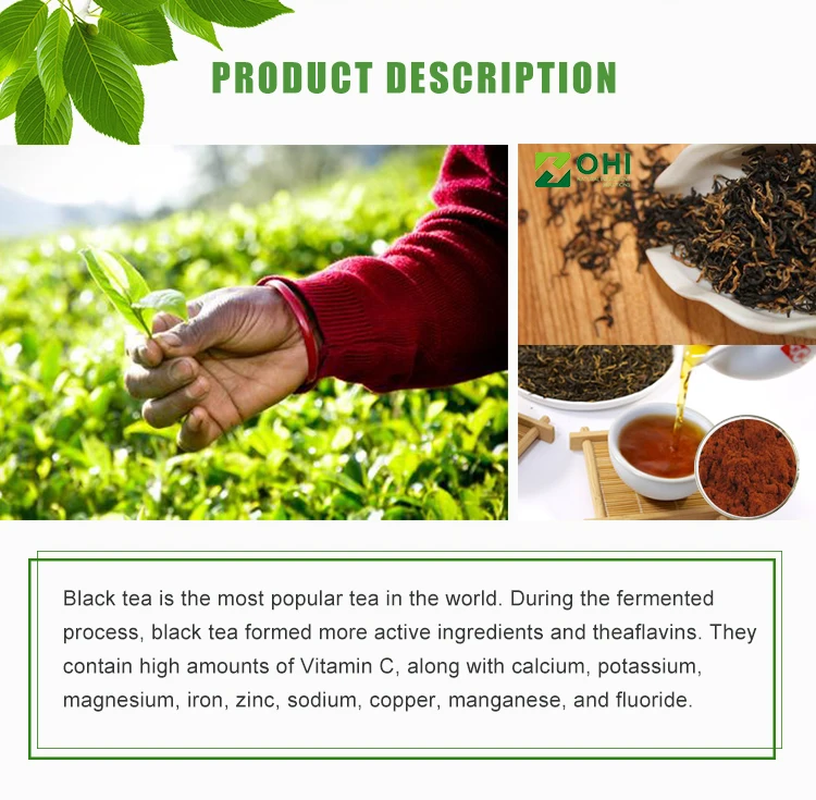 Leaf Extraction 30% Polyphenols Camellia Sinensis O.ktze. Extract