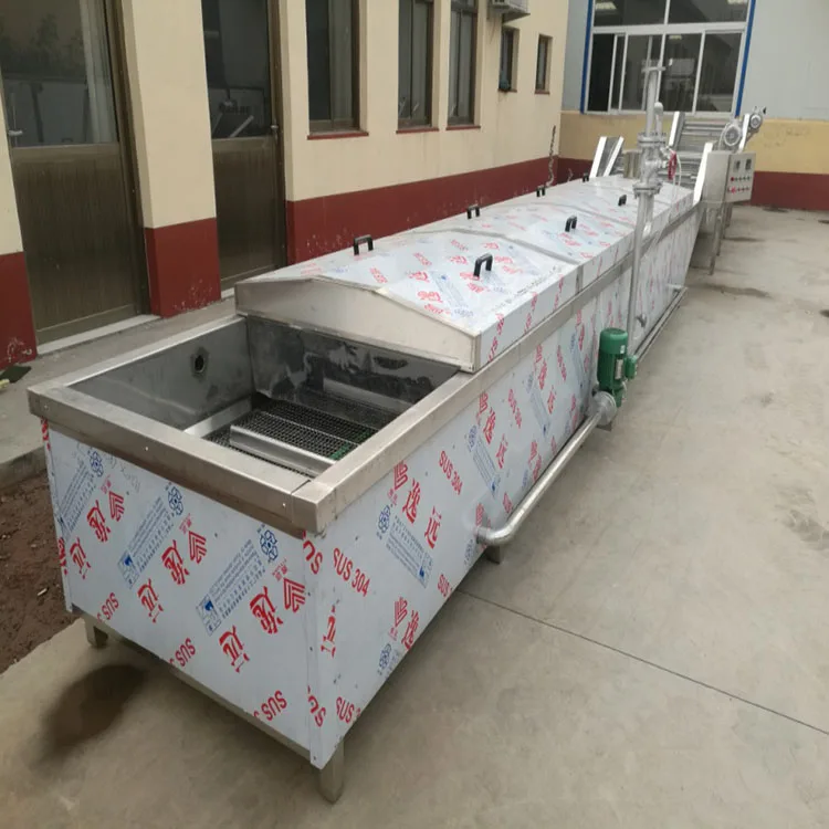 Factory Big Sale 2023 Custom Models Blanching Machine Chips/frozen