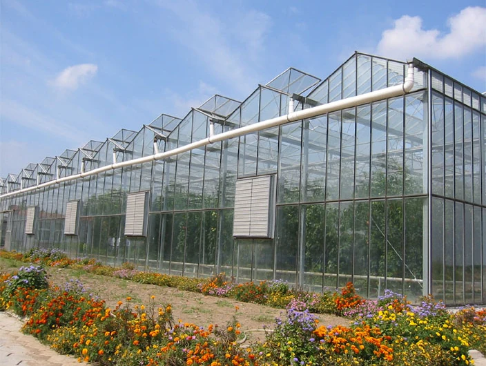 Glass Greenhouse Glass Greenhouse,Agriculture Greenhouse,Low Cost