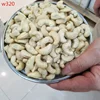 GOOD QUALITY CASHEW NUTS/ CASHEW KERNELS WW240/ WW320/ WW450/ WS/ LP/ SP